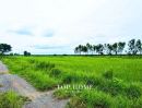 - ขายด่วน! ที่ดินเปล่า 200 ตร.ว. องครักษ์ 24 ราคาเพียง 590,000 บาท! แปลงสวย ขนาดกำลังดี เหมาะทำสวน เพาะปลูก | โฉนดเดียว
