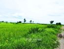 - ขายด่วน! ที่ดินเปล่า 200 ตร.ว. องครักษ์ 24 ราคาเพียง 590,000 บาท! แปลงสวย ขนาดกำลังดี เหมาะทำสวน เพาะปลูก | โฉนดเดียว