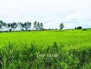 - ขายด่วน! ที่ดินเปล่า 200 ตร.ว. องครักษ์ 24 ราคาเพียง 590,000 บาท! แปลงสวย ขนาดกำลังดี เหมาะทำสวน เพาะปลูก | โฉนดเดียว