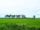 - ขายด่วน! ที่ดินเปล่า 200 ตร.ว. องครักษ์ 24 ราคาเพียง 590,000 บาท! แปลงสวย ขนาดกำลังดี เหมาะทำสวน เพาะปลูก | โฉนดเดียว