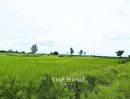 - ขายด่วน! ที่ดินเปล่า 200 ตร.ว. องครักษ์ 24 ราคาเพียง 590,000 บาท! แปลงสวย ขนาดกำลังดี เหมาะทำสวน เพาะปลูก | โฉนดเดียว