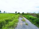 - ขายด่วน! ที่ดินเปล่า 200 ตร.ว. องครักษ์ 24 ราคาเพียง 590,000 บาท! แปลงสวย ขนาดกำลังดี เหมาะทำสวน เพาะปลูก | โฉนดเดียว