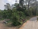 - ขายที่ดิน 3 ไร่ ดงขี้เหล็ก ปราจีนบุรี พียง 2.5 ล้านบาท ยกแปลง! ที่ดินแปลงใหญ่ ราคาน่าสนใจ ติดถนนคอนกรีต เดินทางสะดวก