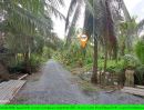 - ที่ดินริมแม่น้ำท่าจีน ใกล้สะพานรุ่งสินพัฒนา เดินทางสะดวกมาก