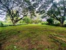  - ขายที่ดินทำเลทอง ปากช่อง-เขาใหญ่ ติดคาเฟ่ โมยาด ด้านหลังติดริมธารน้ำธรรมชาติ บรรยากาศร่มรื่นน่าพักผ่อน