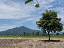 - ขายที่ดินจังหวัดลพบุรี วิวเขา ติดน้ำ โอบล้อมด้วยทุ่งนาสวย เอกสารโฉนดครุฑแดง