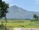 - ขายที่ดินจังหวัดลพบุรี วิวเขา ติดน้ำ โอบล้อมด้วยทุ่งนาสวย เอกสารโฉนดครุฑแดง