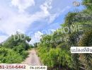 - ที่ดินจอมบึง 8 ไร่ 276.3 ตร.ว. ราชบุรี ใกล้โรงพยาบาลสมเด็จพระยุพราชจอมบึง