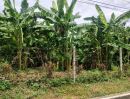 - ที่ดิน ซ.ไทรม้า 21 ติดคลองสวน | นนทบุรี บรรยากาศสงบ