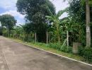 - ที่ดิน ซ.ไทรม้า 21 ติดคลองสวน | นนทบุรี บรรยากาศสงบ