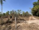 - ขายที่ดินนนทรีติดฟาร์มไก่เนื้อที่ 12 ไร่ บ้านโคกสว่าง ใกล้ถนนเส้นสุวรรณศร33 3 กม. อ.กบินทร์บุรี ปราจีนบุรี