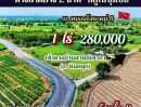 - ที่ดินสุพรรณ ดอนเจดีย์ 1 ไร่ 280,000ล้อมรั้วแล้ว มีน้ำไฟ ใกล้ 333 ปตท. 10 นาที