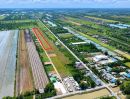 - ขายที่ดินเงินผ่อน 2 ปี ไม่มีดอกเบี้ยตำบล หนองสามวัง อำเภอ หนองเสือ ปทุมธานี