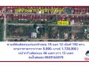 - ขายที่ดินติดถนน ร่มเกล้า 19 แยก 12 เนื้อที่ 192 ตารางวา ราคาเพียง ตารางวาละ 9,000 บาท ราคารวม 1,728,000 บาท หน้ากว้างติดถนน 46 เมตร ลึก 13 เมตร