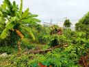 - ขายที่ดินเปล่า198ตรว. ซ.บางขนุน5 บางกรวย-จงถนอม ผังสีเหลือง ราคาพร้อมคุย