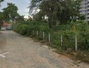  - ขายที่ดินฝั่งทะเลหนองปรือ พัทยา 2 ไร่ พระตำหนัก ซอย5 ใกล้หาด600เมตรทำเลดี อ.บางละมุง จ.ชลบุรี