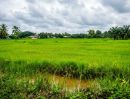 - ให้เช่าที่ดิน 4 ไร่ 1 งาน 30 ตร.วา ติดทางหลวง 2091 | คูสะคาม วานรนิวาส สกลนคร