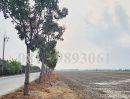  - ขายที่ดิน 55 ไร่ คลอง 6 เหมาะพัฒนาเป็นโครงแนวราบ