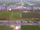 - ขายที่ดินสวน ติดหลังวัดหลวงพ่อสด ด้านหน้าติดถนนคลองชลประทาน อำเภอดำเนินสะดวก จังหวัดราชบุรี