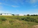  - ขายที่ดิน ในเขตอุตสาหกกรมสุรนารี(Suranaree Industrial Zone)