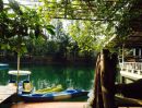 - ขายที่ดินหายาก! 21 ไร่เศษ พร้อมสวนผลไม้ แหล่งน้ำธรรมชาติ และบ้าน 10 หลัง