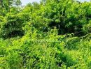- ที่ดินหัวหิน ติดถนนสาย 2052 ใกล้วัดห้วยมงคล ต.หนองพลับ อ.หัวหิน จ.ประจวบคีรีขันธ์