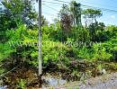 - ที่ดินหัวหิน ติดถนนสาย 2052 ใกล้วัดห้วยมงคล ต.หนองพลับ อ.หัวหิน จ.ประจวบคีรีขันธ์