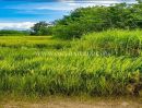 - ที่ดินหัวหิน ติดถนนสาย 2052 ใกล้วัดห้วยมงคล ต.หนองพลับ อ.หัวหิน จ.ประจวบคีรีขันธ์