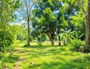 - ขายที่ดิน 17 ไร่ 84.5 ตร.ว. เมืองเก่า ขอนแก่น ทำเลดี เหมาะทำโครงการ ลงทุนระยะยาว