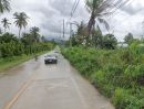  - ขายที่ดินหนองเลง หนองขาม 4 ไร่ ติดถนนคอนกรีต ใกล้นิคมปิ่นทอง2-9กม. อ.ศรีราชา ชลบุรี