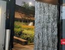- ให้เช่าไพรเวท วิลล่า Tree Villa Bangkok เดินทางสะดวกใกล้ ONE BANGKOK