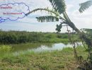 - ขายที่ดิน 101.1 ตร.ว. หน้าติดถนนสาธารณะ - หลังติดน้ำ (ปลายคลองระกาศ) ซ.พรหมมา บางบ่อ สมุทรปราการ