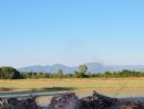  - ขายที่ดินวิวเขา บ้านนา นครนายก (เจ้าของขายเอง อำเภอบ้านนา นครนายก)