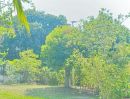 - เซ็นทรัล ศรีราชา 3.2กม. บ้านเดี่ยว 150 ตร.ว.300 ตร.ม.3 นอน ถนนสุขุมวิท 100ม.ทะเลบางพระ 190 ม. ศรีราชา 2 น้ำ บรรยากาศดีสงบ