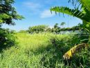- ขายที่ดิน ซอยนิมิตรใหม่36-มีนบุรี แปลงสวย ขนาด 2 ไร่ ขายถูกที่สุดในย่านนี้! ราคาพิเศษเพียง 9.9 ล้านบาท (ตารางวาละ 12,375 บาทเท่านั้น!) ทำเลดี