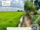  - ที่นาติดคลองส่งน้ำ โฉนดพร้อมโอน ราคาพิเศษ
