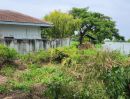 - ที่ดินติดแม่น้ำท่าจีน บางแก้วฟ้า นครชัยศรี 213 ตร.ว. ทำเลริมน้ำวิวสวยหายาก