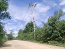 - ขายที่ดินวิวภูเขา 10 ไร่ โฉนดครุฑแดง ราคาสุดพิเศษ 19.9 ล้านบาทราคาสุดพิเศษ 19.9 ล้านบาท เฉลี่ยเพียง 1.99 ล้านบาท/ไร่