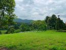 - ขายที่ดินบ้านปงหางดงวิวภูเขา 360 องศาพร้อมโอน