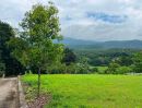  - ขายที่ดินบ้านปงหางดงวิวภูเขา 360 องศาพร้อมโอน