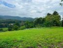  - ขายที่ดินบ้านปงหางดงวิวภูเขา 360 องศาพร้อมโอน