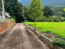  - ขายที่ดินบ้านปงหางดงวิวภูเขา 360 องศาพร้อมโอน