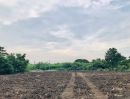 - ขายถูก ที่ดินหนองจอก สุวินทวงศ์ 110 ฮาราจูกุไทยแลนด์ 2 ไร่ 50 ตารางวา ถนน 304 เหมาะทำบ้านสวน ชานเมืองกรุงเทพ