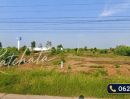 - ขายที่ดินติดถนนมิตรภาพ 6เลน 11ไร่ อุดรธานี เส้นเศรษฐกิจอุดร-หนองคาย-ลาว (แบ่งขายได้)