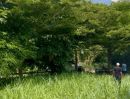 - ที่ดินเปล่าเหมาะสร้างบ้านพักตากอากาศใกล้แหล่งท่องเที่ยวเขาใหญ่ วันเดอร์แลนด์750 เมตร เซอร์เจมส์คันทรี่คลับ ที่ตั้ง ต.มิตรภาพ อ.มวกเหล็ก สระบุรี