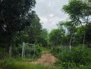  - ขายที่ดิน 5 ไร่ มีโฉนด ทำเลดี จังหวัดระยอง ใกล้แหล่งท่องเที่ยวบ้านเพ-เกาะเสม็ด