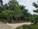 - ขายที่ดิน 5 ไร่ มีโฉนด ทำเลดี จังหวัดระยอง ใกล้แหล่งท่องเที่ยวบ้านเพ-เกาะเสม็ด