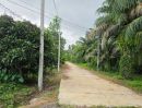  - ขายที่ดิน 5 ไร่ มีโฉนด ทำเลดี จังหวัดระยอง ใกล้แหล่งท่องเที่ยวบ้านเพ-เกาะเสม็ด