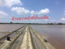 - ขายด่วน ที่ดินนาเกลือ 74 ไร่ จ.เพชรบุรี ตามหานายทุน ลงทุนระยะยาม คุ้มสุดๆ