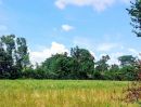 - ที่ดินอยู่อาศัย โฉนด 1 ไร่เต็ม อ.นางรอง บุรีรัมย์
